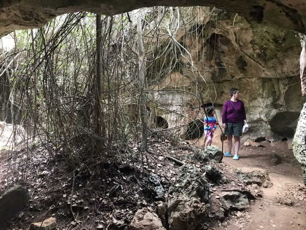 Cave & tree roots with mom and daughter