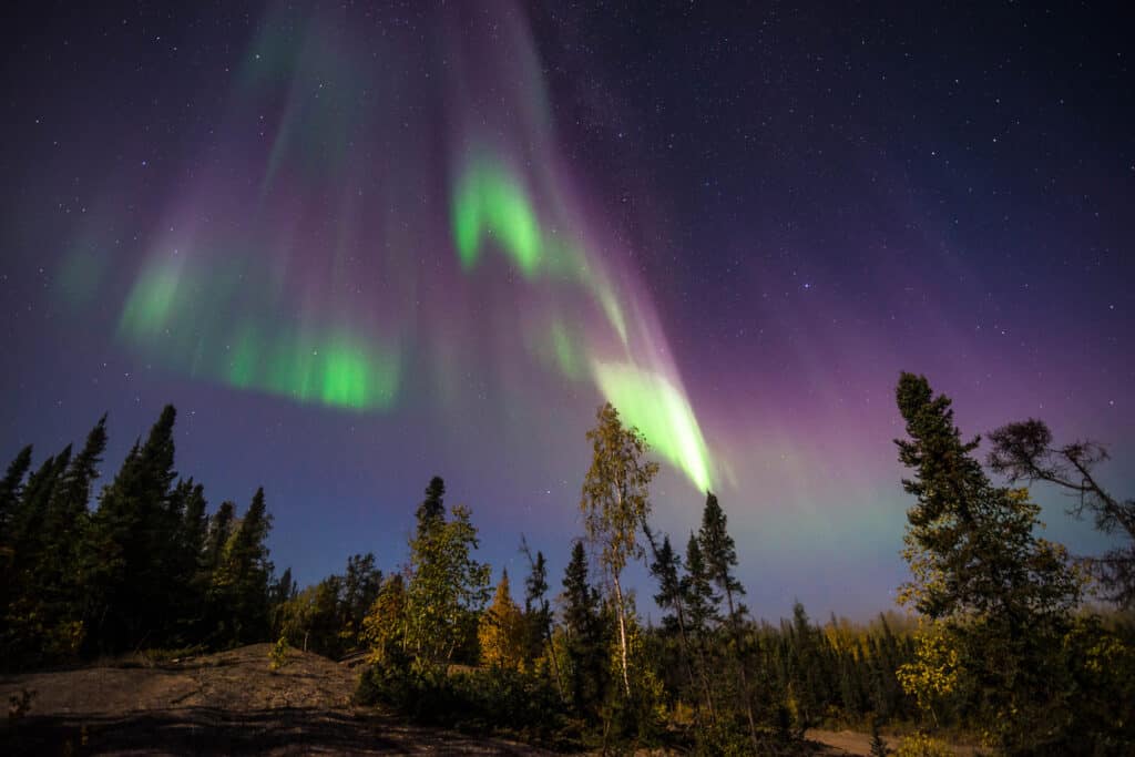 One of the best things to do in Yellowknife, Canada aurora viewing in September. Northern Lights in the sky above a forest.