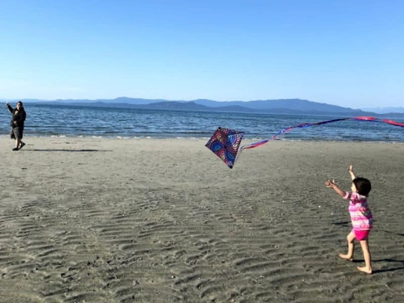 Dad and young daughter flying a kite on a beach.
