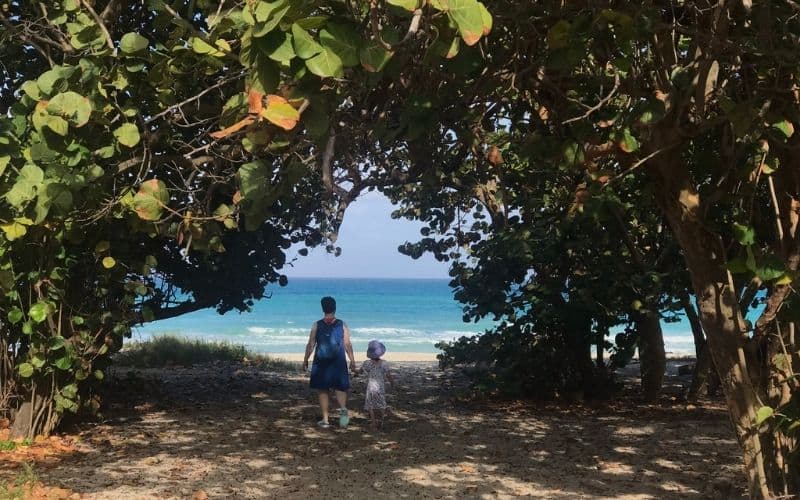 Mom and young girl holding hands, walking through trees to a tropical beach.