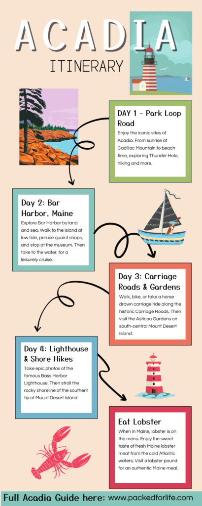 4 Day Acadia Itinerary infographic. Park Loop Road, Bar Harbor, Lighthouses, Sailing Carriage roads.
