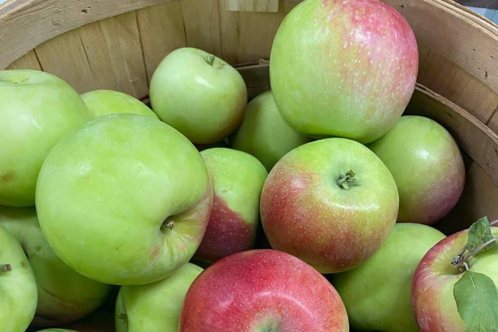 A close up of red and green apples in a wooden barrel. 