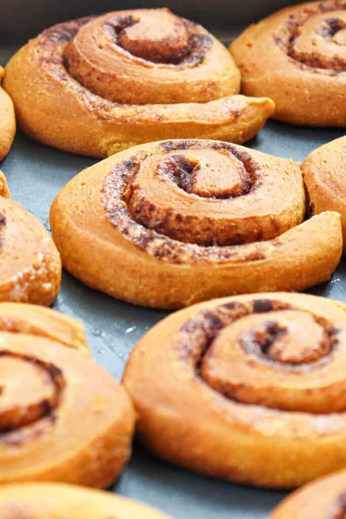 Rows of baked pumpkin cinnamon rolls.