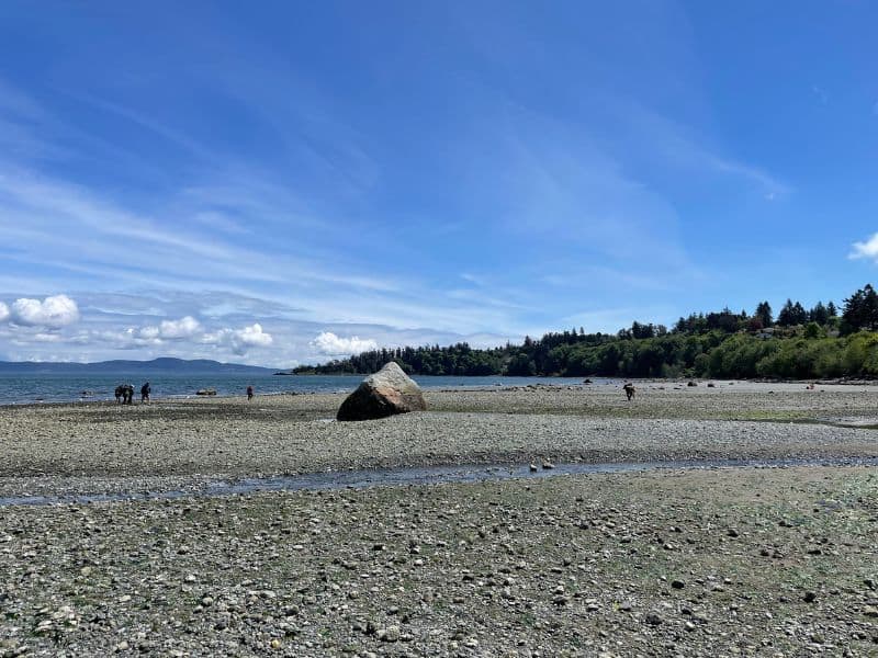 Rocky Beach on s unny day with tide out in Mount Doug Park. 