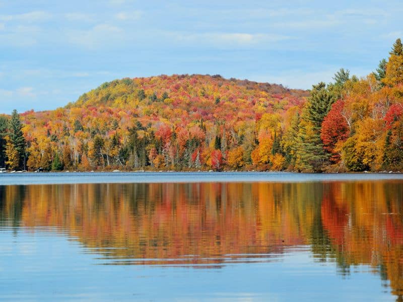 Lake reflecting the fall colored trees in Stowe, Vermont on summy day.