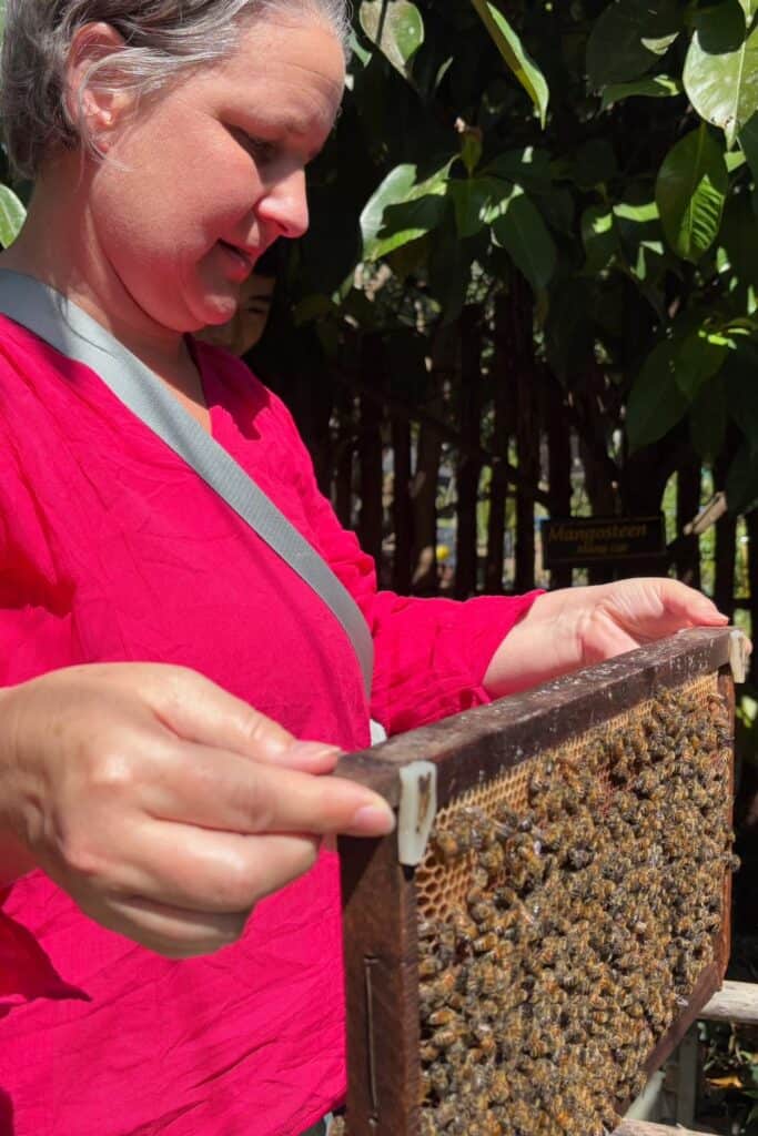 A middle aged woman with grey hair in a bright pink shirt closely examines a wooden frame from a beehive, densely covered with bees, during a sunny visit to the Phu Quoc bee farm in Vietnam. Lush green foliage and a small sign reading "Mangosteen" are visible in the background.
