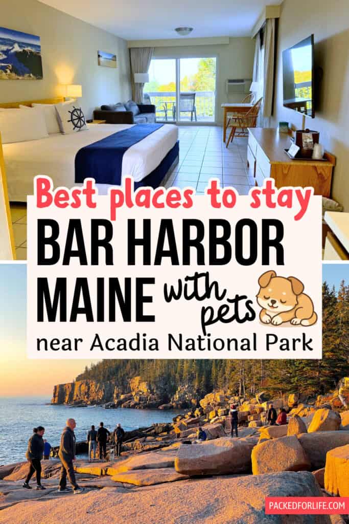 A cozy hotel room with a balcony view is paired with a scenic rocky shoreline in Acadia, highlighting pet-friendly travel in Maine. Great inspiration for places to stay in Bar Harbor Maine with pets