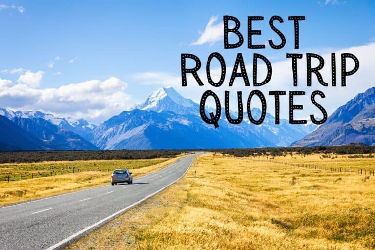 170 Best Road Trip Quotes: Quirky, Funny and Deep