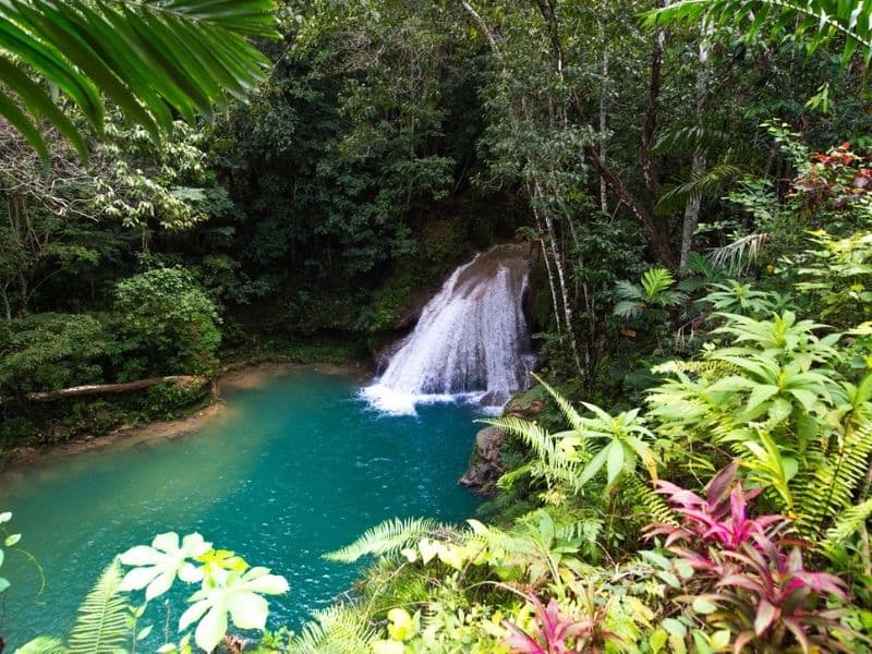 Blue Hole, Ocho Rios, Jamaica.Waterfall surrounded by rainforest and plants. 