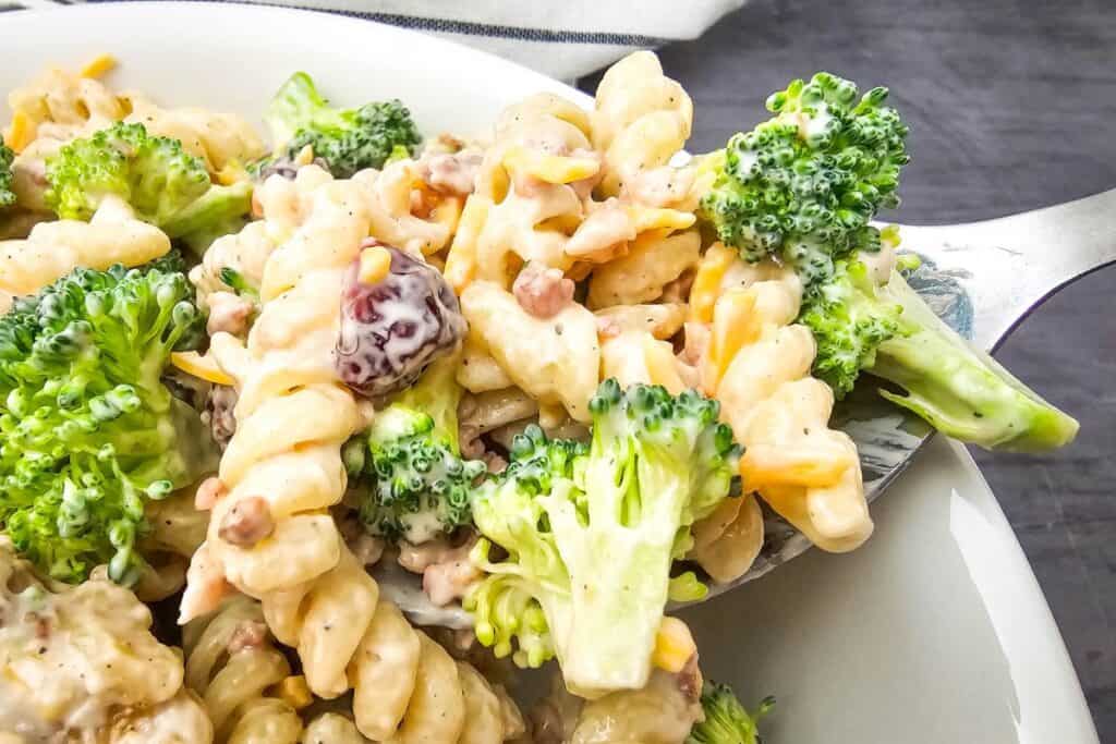 Spoonful of creamy broccoli salad with bacon lifted from a bowl, showing rotini noodles, fresh broccoli florets, shredded cheddar cheese, dried cranberries, and bacon bits coated in a rich, pepper-speckled dressing.