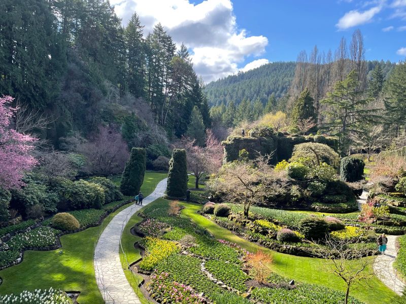 Butchart Gardens pathway and colorful flower beds. 