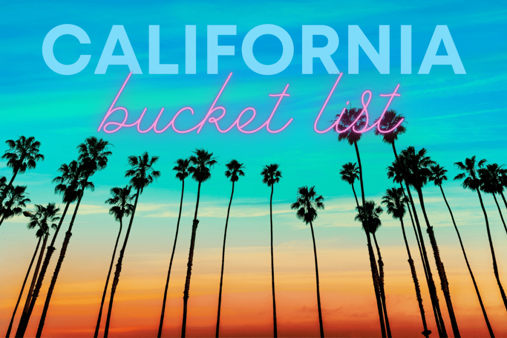 Kid Friendly California Bucket List - Palm trees against a sunset