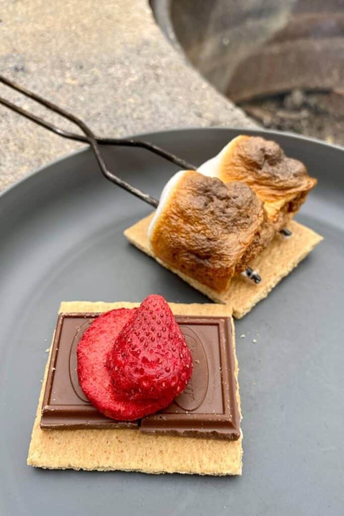 Pan with open faced s'mores with chocolate, freee dried strawberries and roasted marshmallows.