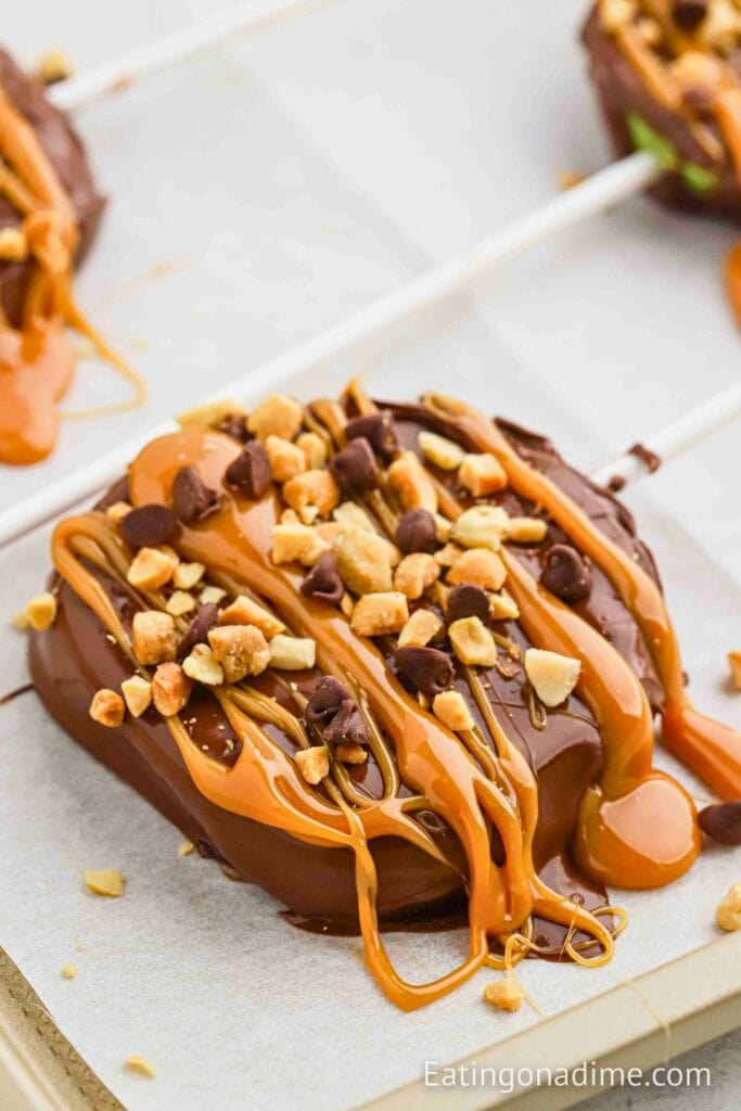 A thick apple slice on a stick is coated in rich chocolate and drizzled with gooey caramel, then topped with chopped peanuts and mini chocolate chips.