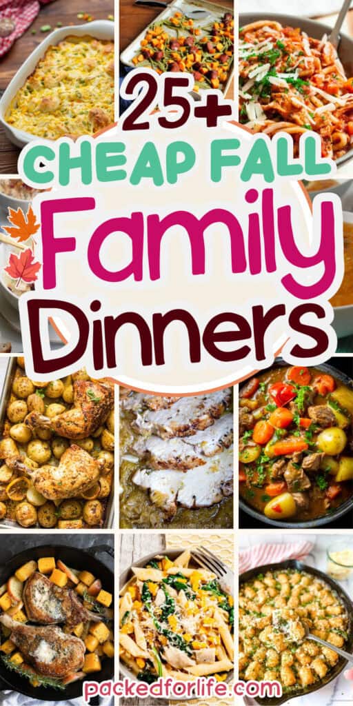 A collage of cozy casseroles, roasted chicken and potatoes, hearty beef stew, baked pasta, pork chops, and skillet and sheet pan meals offers plenty of cheap autumn family dinners for busy weeknights and cooler evenings.