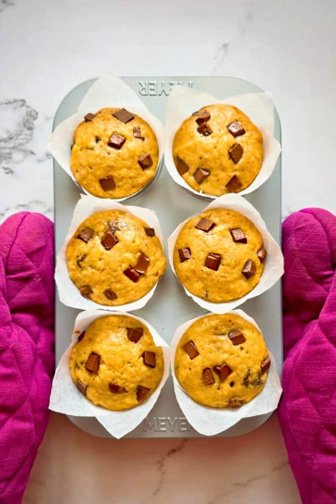 Chocolate chunk banana muffins baked to a golden brown with large chocolate pieces on top sitting in parchment liners in a muffin tin. Hands in bright pink oven mitts hold the tray showing these sweet breakfast muffins fresh from the oven.
