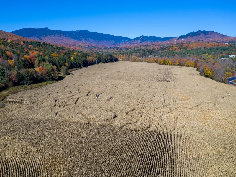 Aerial view of a Stowe Vermont corn maze with fall foliage and mountains in background.