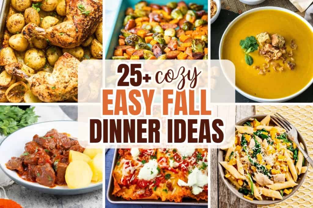 Collage of comforting autumn meals including roasted chicken and potatoes. sheet pan harvest vegetables. creamy soup, beef stew, cheesy sheet pan lasagna and fall pasta. Text reads "25+ cozy easy fall dinner ideas."