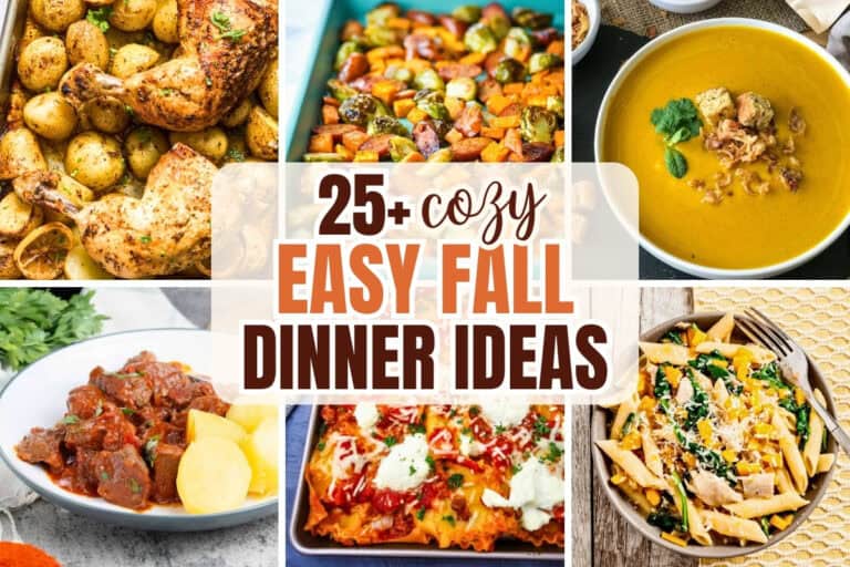 Collage of comforting autumn meals including roasted chicken and potatoes. sheet pan harvest vegetables. creamy soup, beef stew, cheesy sheet pan lasagna and fall pasta. Text reads "25+ cozy easy fall dinner ideas."