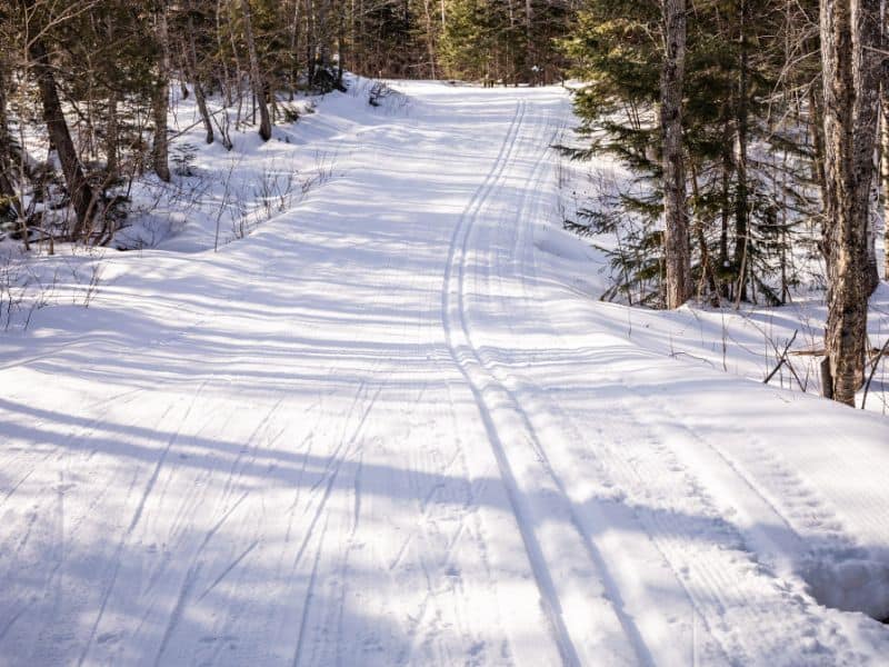 Cross country ski trail in Maine, USA through forest. 