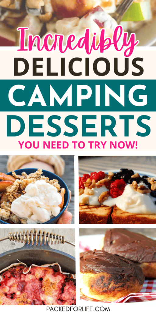 PIN of camping desserts; campfire eclairs, strawberry cake, ice cream in a bag and cake with fruit & cream. 