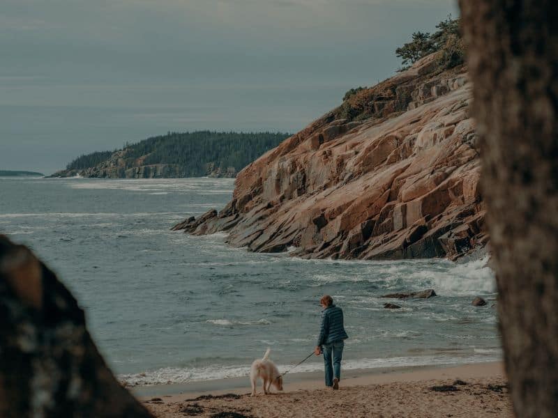 Woman walking her dog on Sand Beach in Acadia National Park.