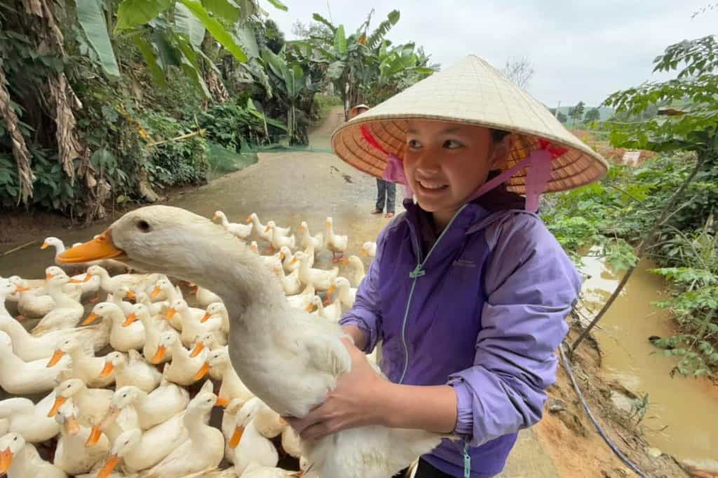 A smiling girl wearing a traditional Vietnamese conical hat and a purple jacket holds a white duck in her arms. She stands in front of a large group of ducks near a muddy path lined with banana trees and dense greenery, capturing a lively rural farm setting.