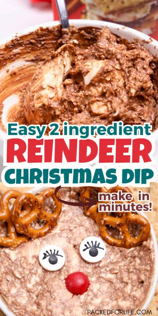Close-up of an easy reindeer snack dessert made with creamy chocolate dip topped with pretzel antlers, candy eyes, and a red candy nose for a fun Christmas treat.