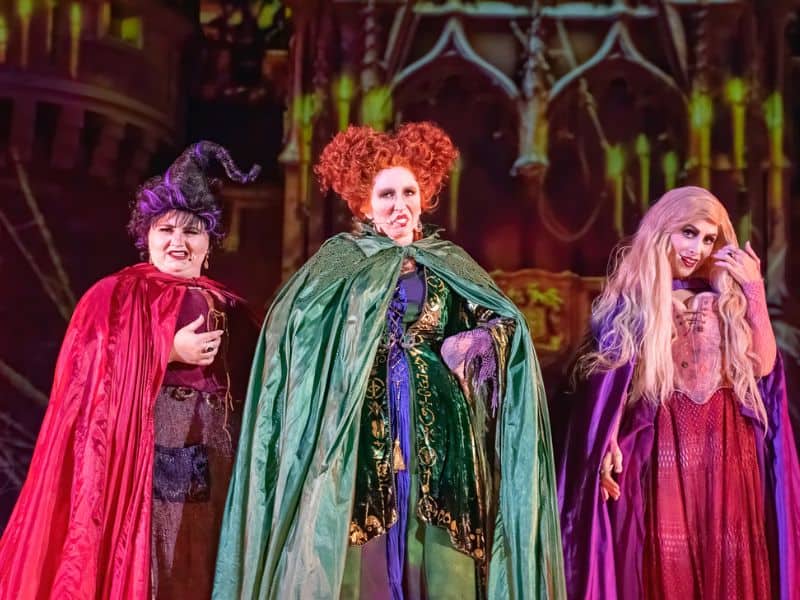 Sanderson sisters from the movie Hocus Pocus. 