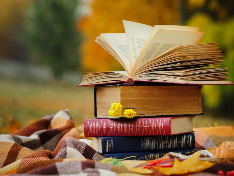 Stack of books in fall on a plaid blanket and fall leaves besides.