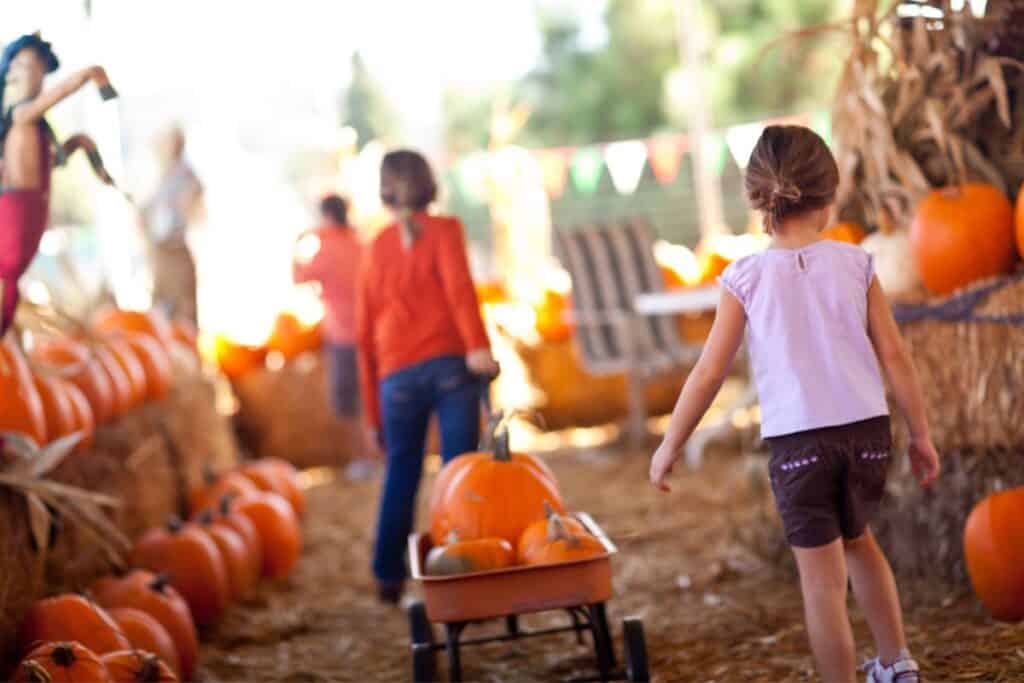 Young girls at pumpkin patch pulling a wagon full of pumpkins