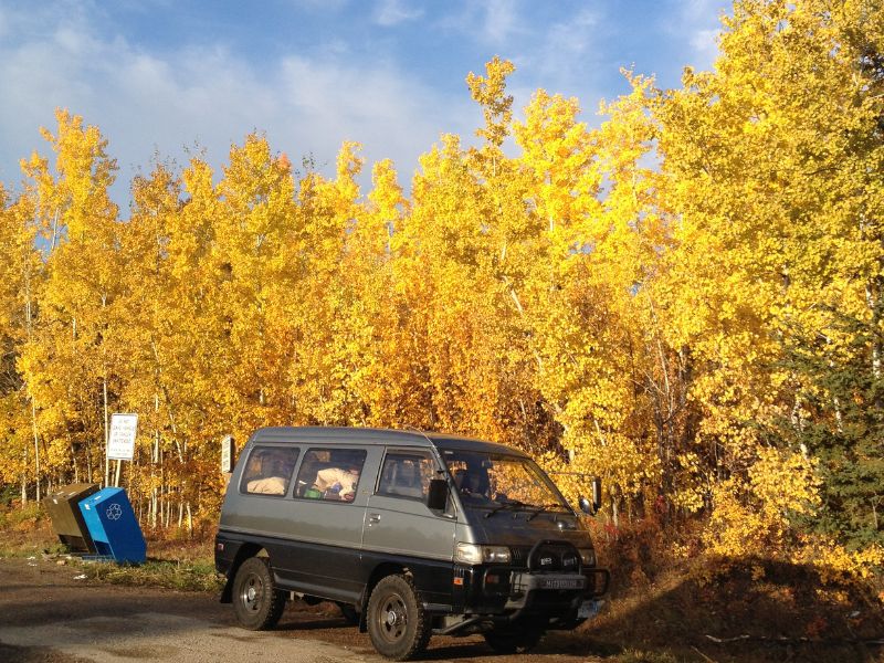 Mitsubishi van parked on the side of the road, in front of yellow, fall colored birch trees. 