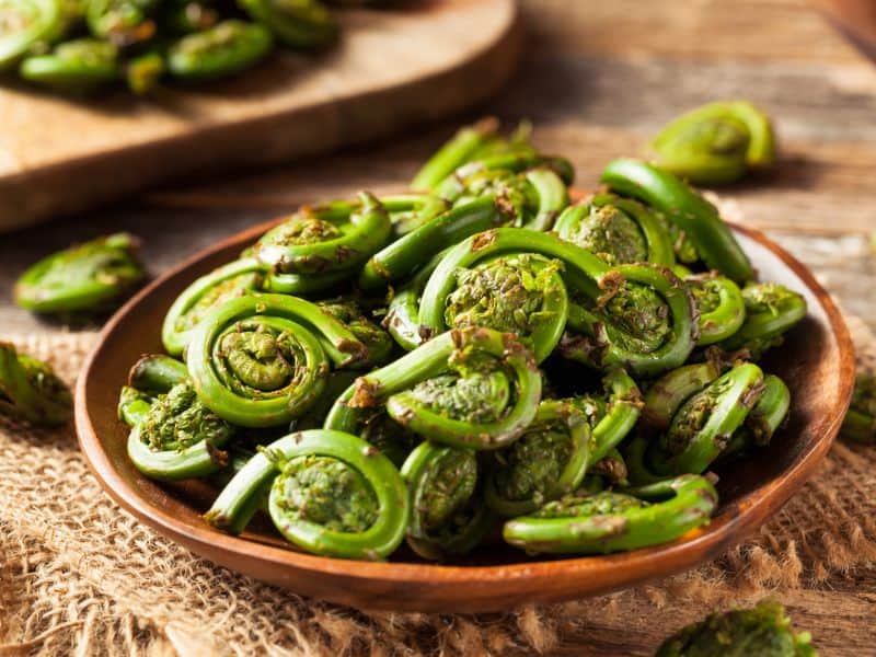 Plate of fiddlehead ferns. 