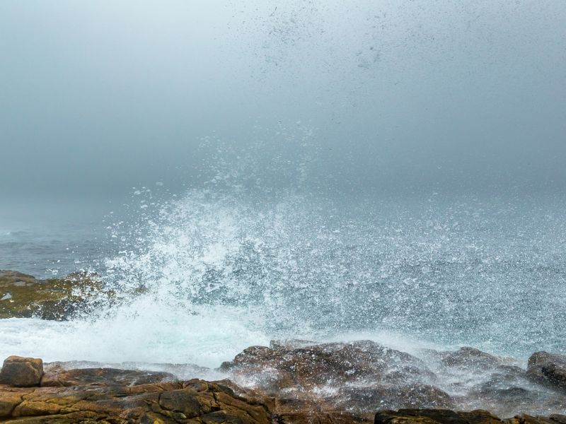 Foggy morning, with waves crashing against rocks in the Schoodic Peninsula, Acadia. 