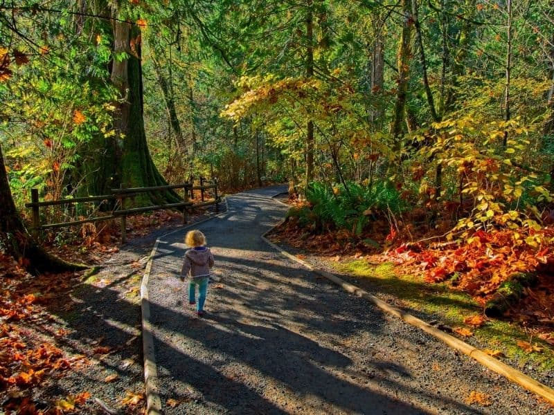 young child running down a path in west coast forest of Goldstream Provincial Park, Vancouver Island, BC