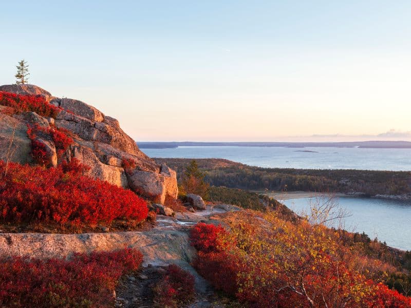 Fall colors from Gorham Mountain at sunrise, with Sand Beach in background, Acadia National Park. 