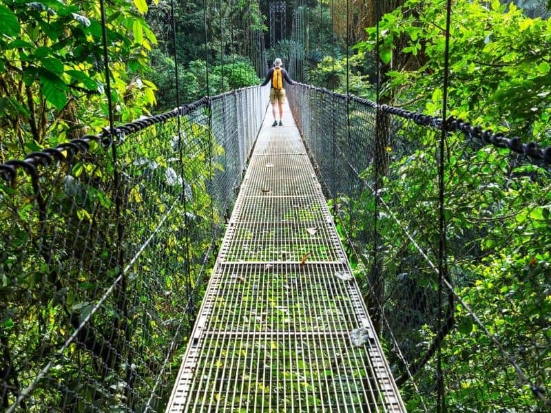 Man walking across a hangin bridge in cloudforest Costa Rica