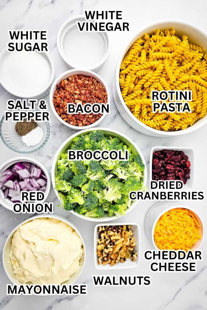 A photo of ingredients for broccoli pasta salad, each labeled: rotini pasta, broccoli, bacon bits, shredded cheddar cheese, dried cranberries, chopped walnuts, mayonnaise, red onion, white sugar, white vinegar, and salt and pepper in small bowls.