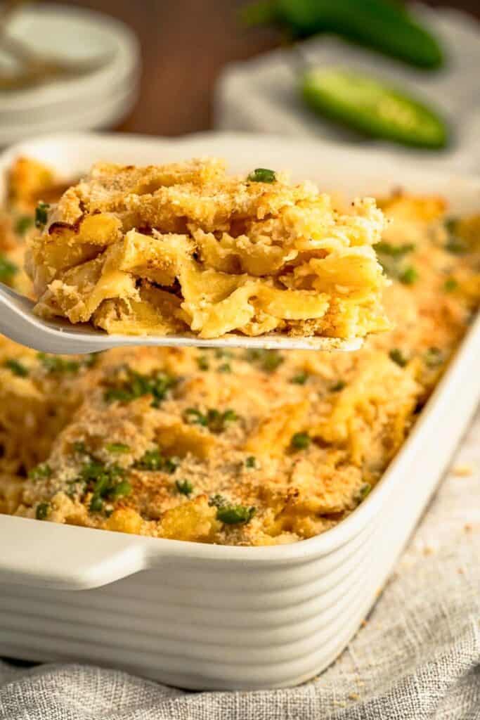 Jalapeño popper chicken casserole with creamy pasta, chunks of chicken, sliced jalapeños and a golden breadcrumb topping, garnished with fresh green onions.