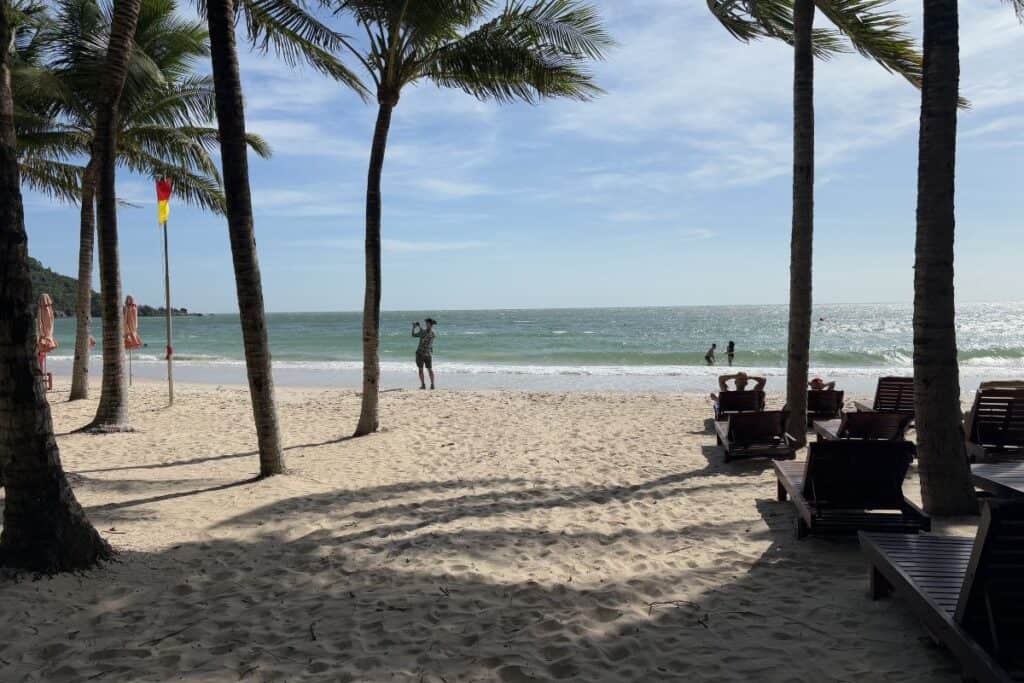 Looking through Palm Trees to the white sand Khem beach on Phu Quoc Island, with beach chairs, on a sunny day.