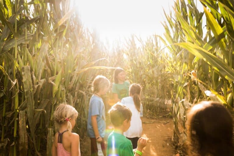 10 Best Corn Mazes in Rhode Island: Play it by Ear & Escape!