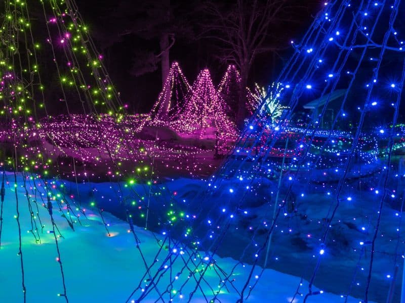 Maine Botanical Gardens Christmas LIghts