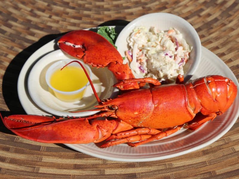 Boiled Maine lobster with conatiner of melted butter and coleslaw.