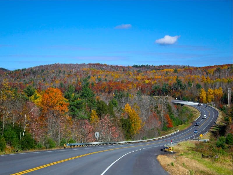 Scenic drive through trees with fall colors in Maine.