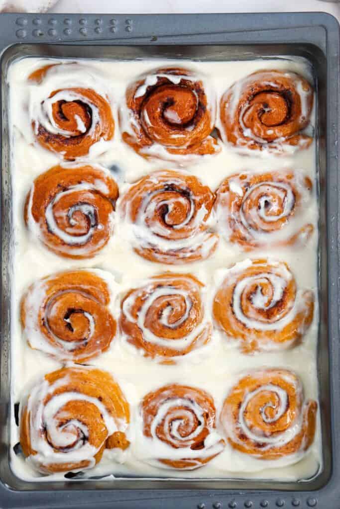 Pan of 12 baked pumpkin cinnamon rolls with cream cheese icing.