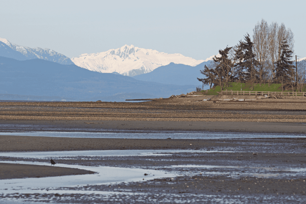 Parksville Beach with snow capped mountain in background. Best Things to do in Parksville, BC with kids.