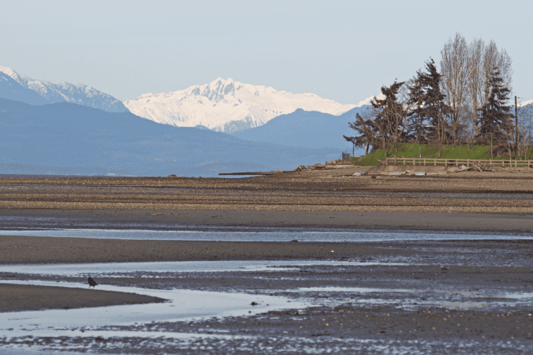 25 Fun Things To Do In Parksville with Kids (2023)