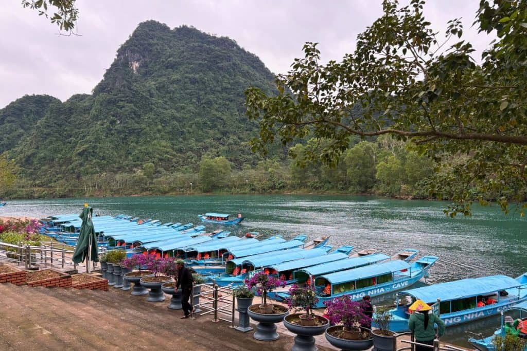 Long blue tour boats with “Phong Nha Cave” written on the sides are docked along a calm riverbank lined with potted flowering plants. In the background, lush green mountains rise steeply under an overcast sky, creating a serene and scenic riverside view.