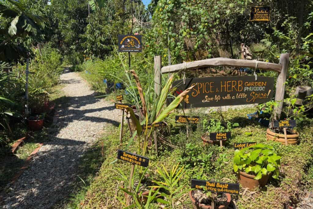 A sunny garden path at the Phu Quoc Bee Farm winds through lush greenery, lined with labeled herb and spice plants including turmeric, Thai basil, cinnamon, mint, rosemary, lemongrass, and chili. A wooden sign reads “Spice & Herb Garden Phu Quoc – Live life with a little spice!”