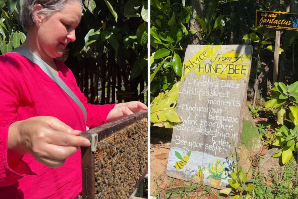 A photo of a middle aged woman holding a bee frame covered in bees, and a photo of a sign that reads Advice from a Bee, with a tropical garden in the background. 